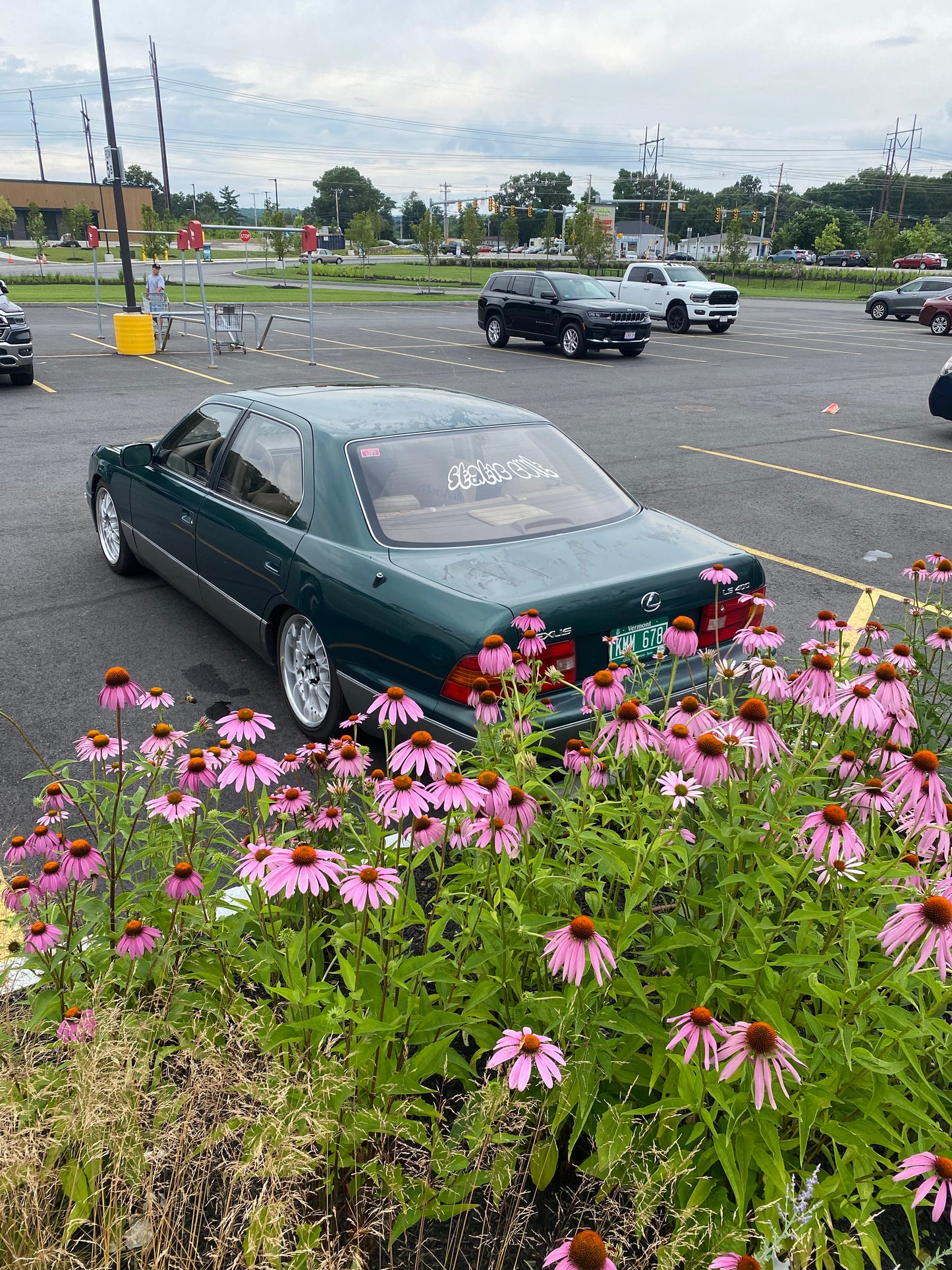 Street Writer Banner